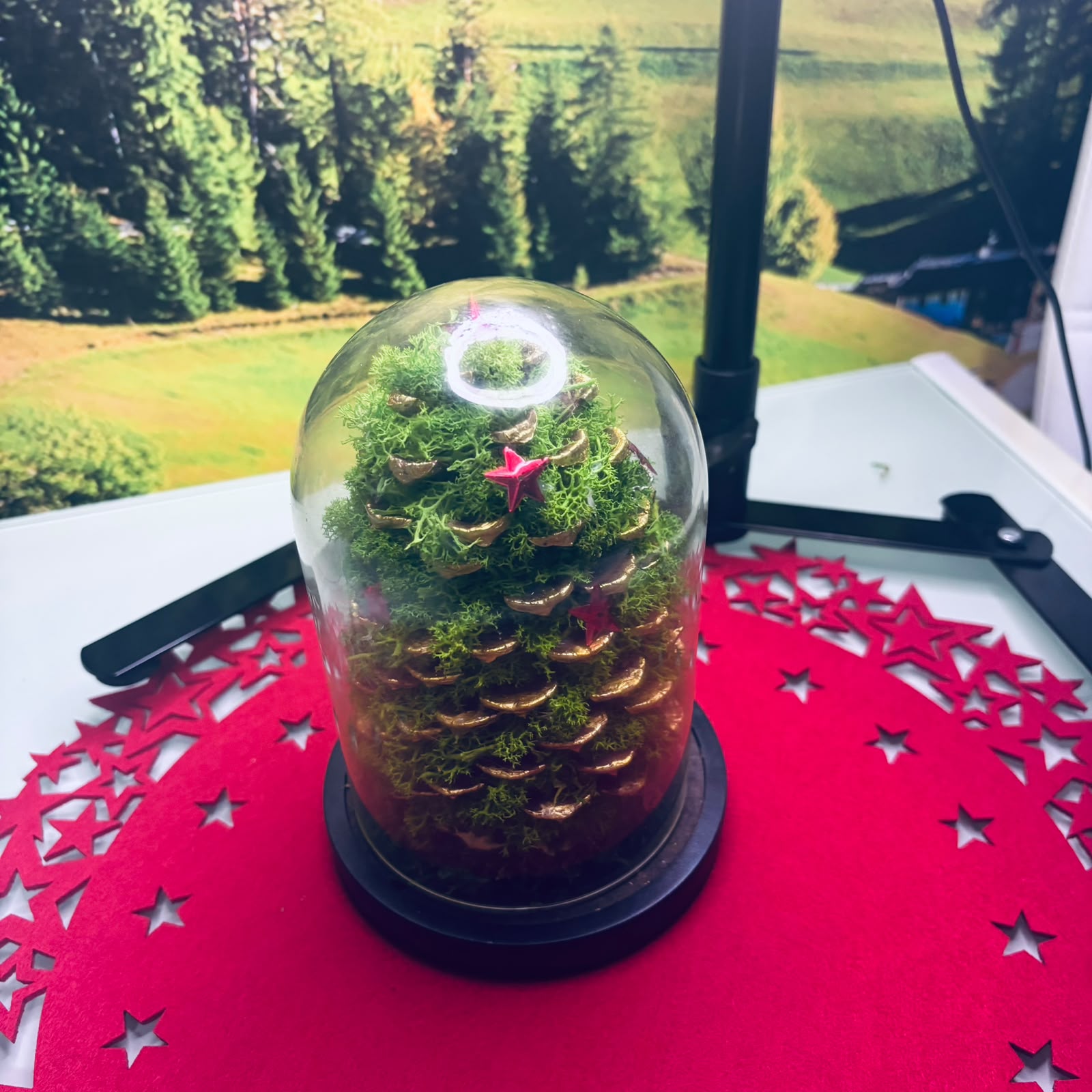 Mini Brad de Crăciun din Mușchi Stabilizați în Cupolă de Sticlă cu Bază – Kasem Studio - imagine galerie