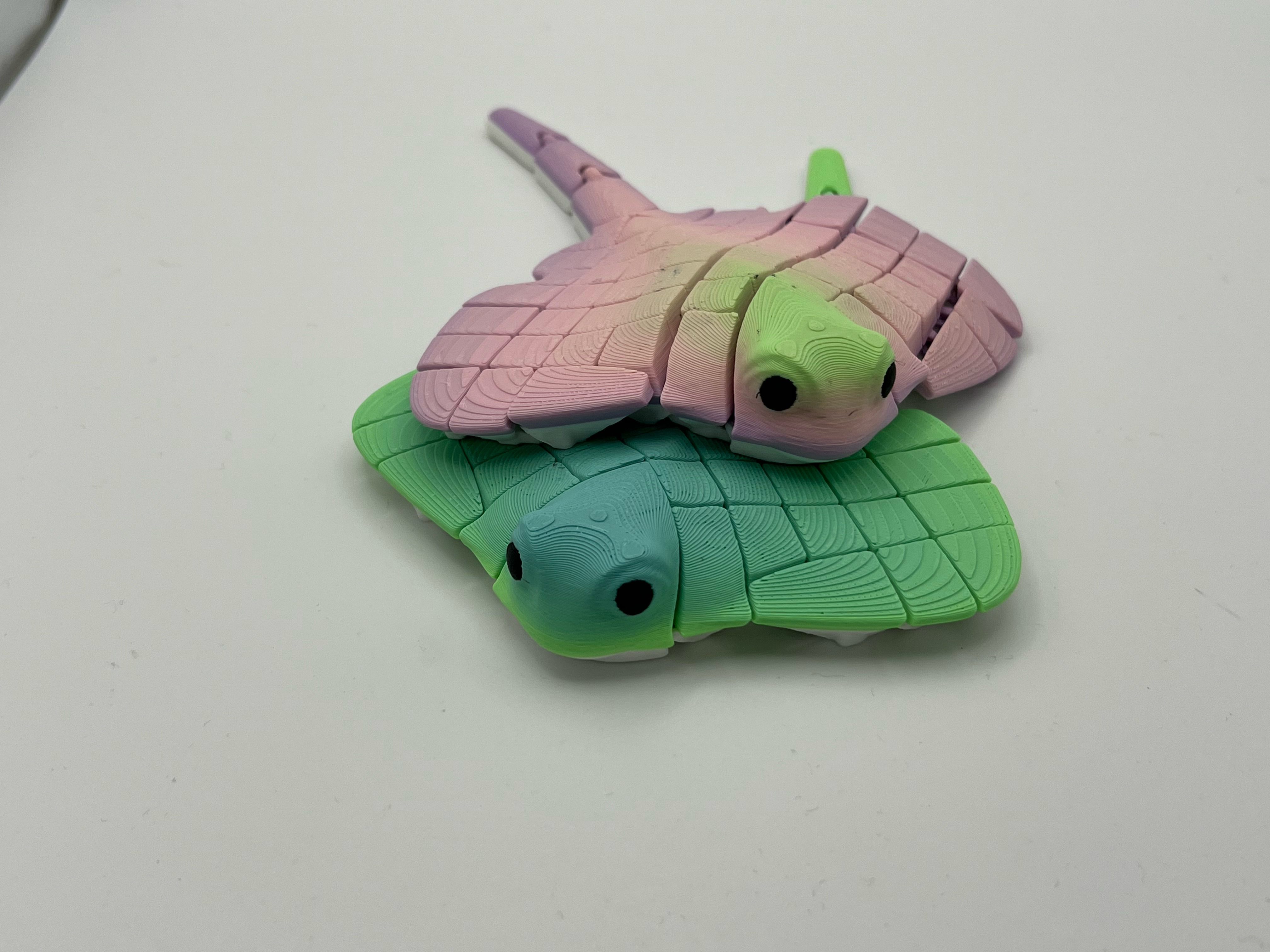 Pește Articulat 3D - imagine galerie