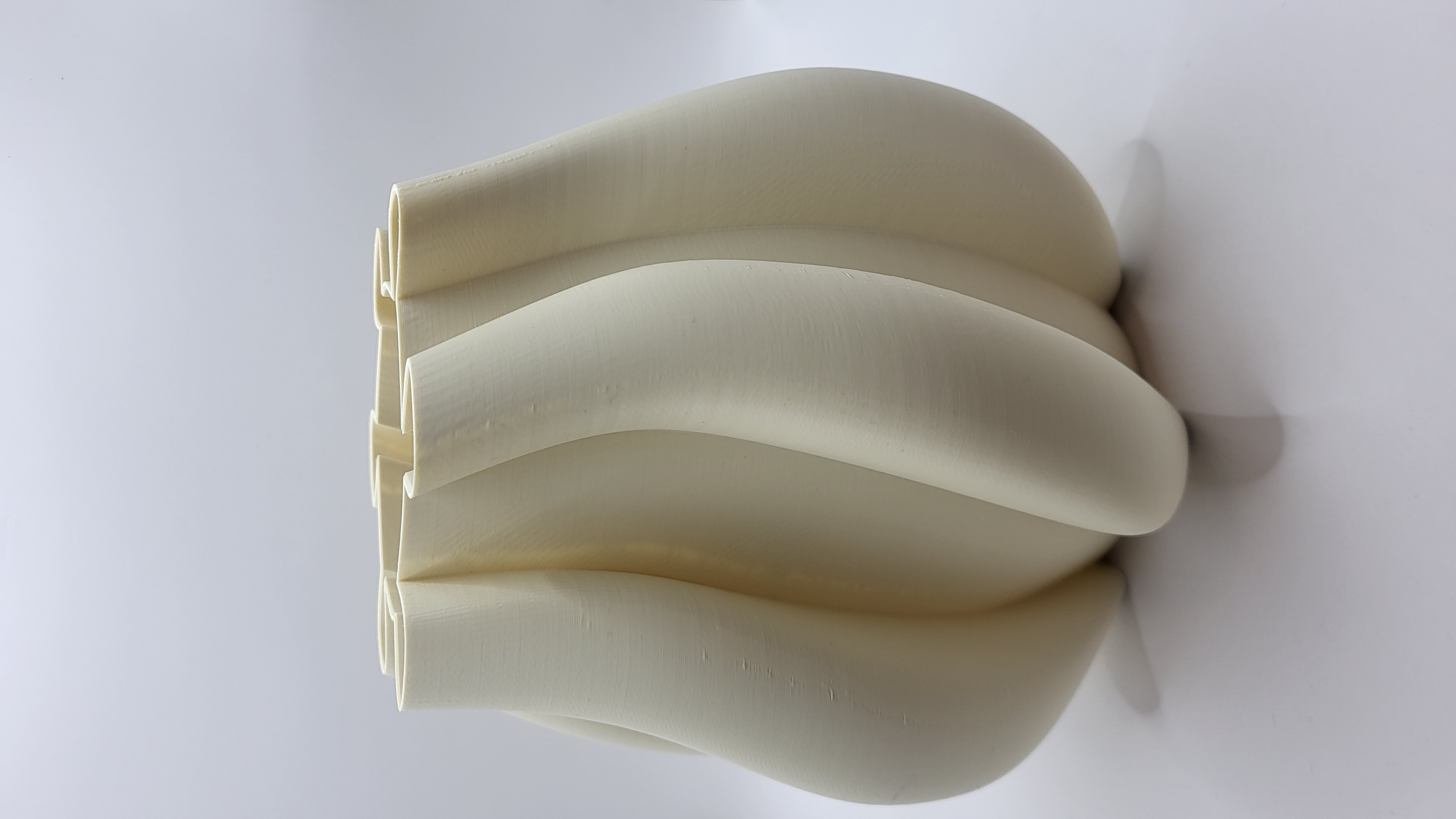 Vază decorativă 3D cu design organic curba - imagine galerie
