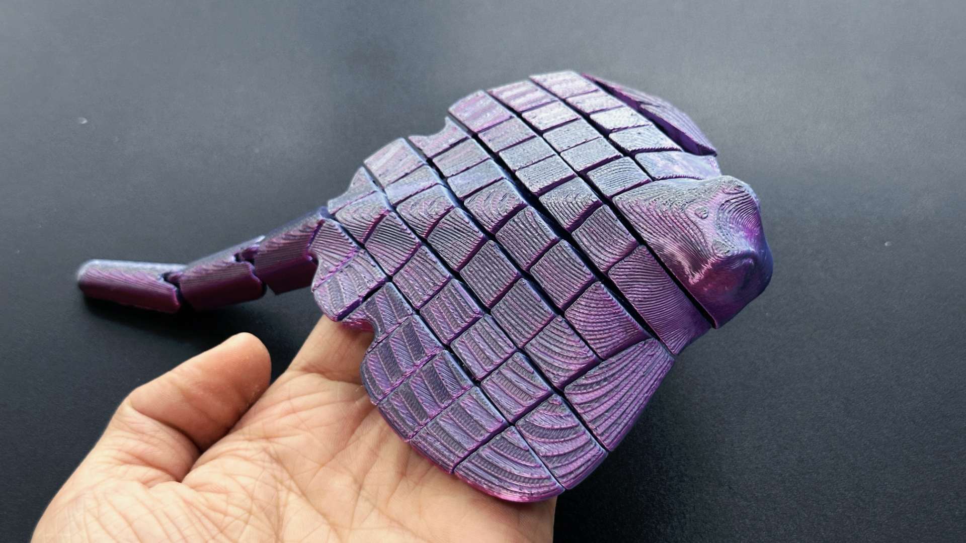 Pește Articulat 3D - imagine galerie